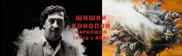 шишки Алексин