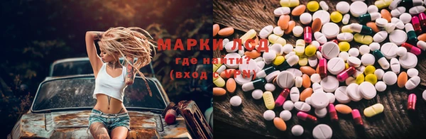 шишки Алексин