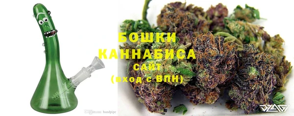 шишки Алексин