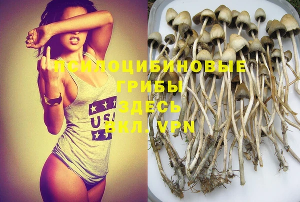 шишки Алексин