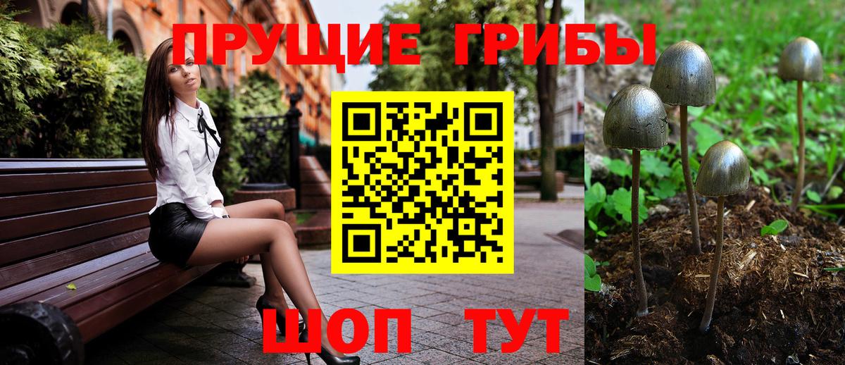 Псилоцибиновые грибы MAGIC MUSHROOMS  Вход с VPN  где можно купить наркотик  Галлюциногенные грибы GOLDEN TEACHER  Железноводск 