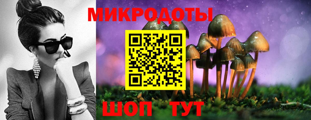 Галлюциногенные грибы Psilocybe Железноводск